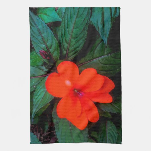 Linge De Cuisine Orange Impatiens (Vertical)