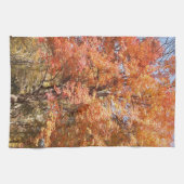 Linge De Cuisine Orangers (Horizontal)