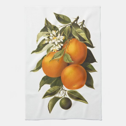Linge De Cuisine Oranges et pavots (Vertical)