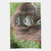 Linge De Cuisine Orangoutan (Vertical)