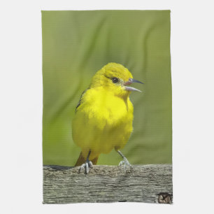 Linge De Cuisine Orchard Oriole - Photo originale