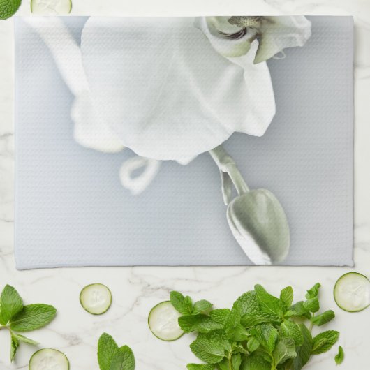 Linge De Cuisine Orchidée blanche Phaleonopsis (Plié)