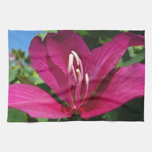 Linge De Cuisine Orchidée Fleurie tropicale Florale (Horizontal)