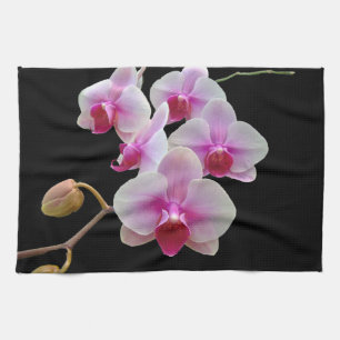 Linge De Cuisine Orchidées de teigne rose sur Phalaenopsis noir