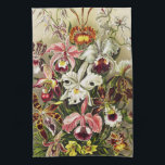 Linge De Cuisine Orchidées, Orchidées Denusblumen Ernst Haeckel<br><div class="desc">Orchidées,  Orchidée Denusblumen Ernst Haeckel de Kunstformen der Natur (1904). Joli Vintage Beau marron blanc rouge foncé et coloré illustration</div>