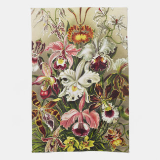 Linge De Cuisine Orchidées, Orchidées Denusblumen Ernst Haeckel 