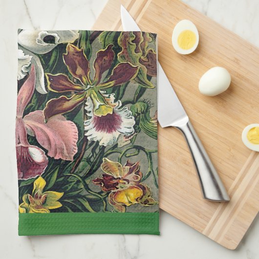 Linge De Cuisine Orchidées par Ernst Haeckel (Quart Plié)