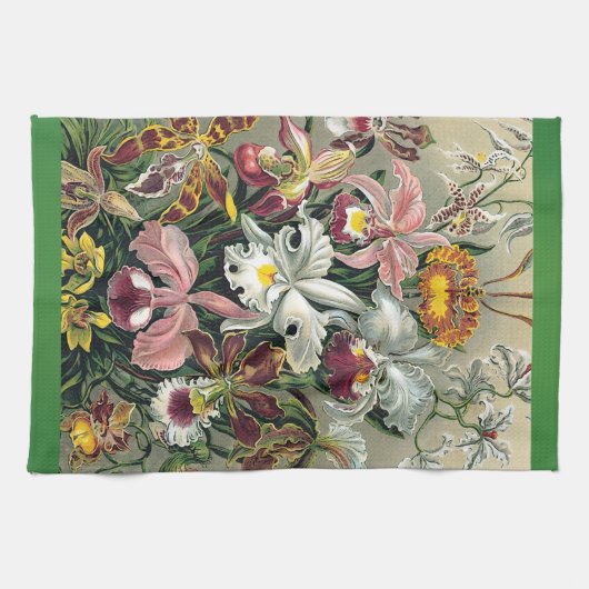 Linge De Cuisine Orchidées par Ernst Haeckel (Horizontal)