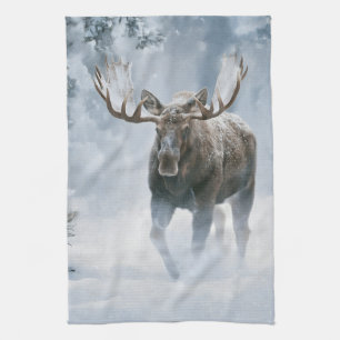 Linge De Cuisine Orignal mâle marchant dans la neige boréale