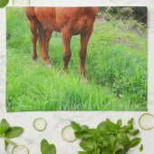 Linge De Cuisine Orion (Plié)