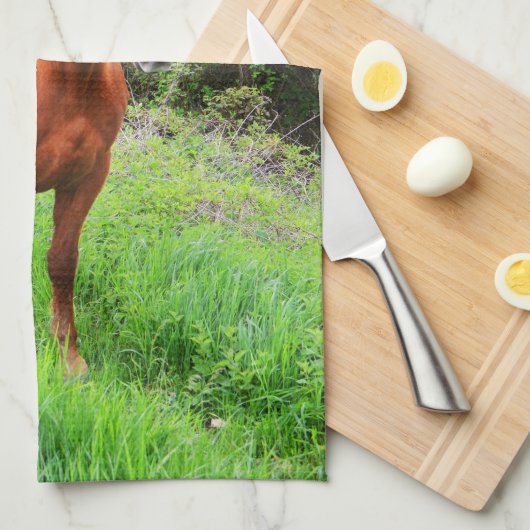 Linge De Cuisine Orion (Quart Plié)