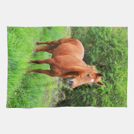 Linge De Cuisine Orion (Horizontal)