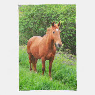 Linge De Cuisine Orion