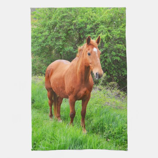 Linge De Cuisine Orion (Vertical)