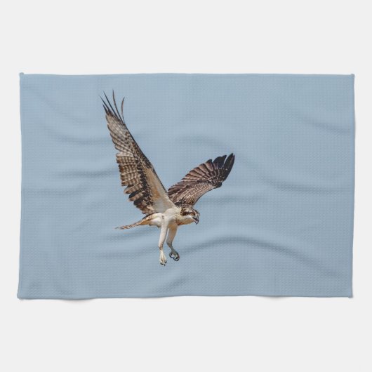 Linge De Cuisine Osprey juvénile en vol (Horizontal)