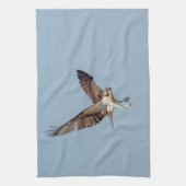 Linge De Cuisine Osprey juvénile en vol (Vertical)