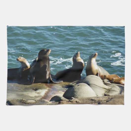 Linge De Cuisine Otaries de San Diego (Horizontal)