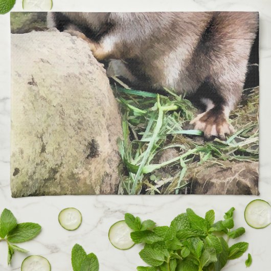 LINGE DE CUISINE OTTERS (Plié)