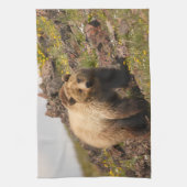Linge De Cuisine ours (Vertical)