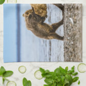 Linge De Cuisine Ours brun côtier (Plié)