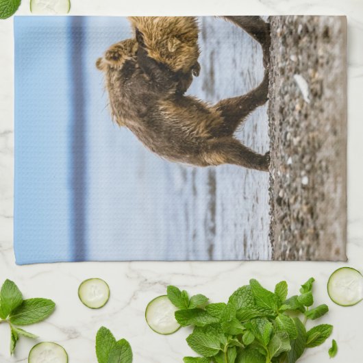 Linge De Cuisine Ours brun côtier (Plié)