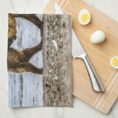 Linge De Cuisine Ours brun côtier (Quart Plié)