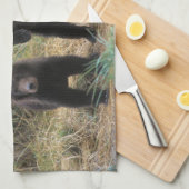 Linge De Cuisine ours brun, Ursus arctos, grizzli, Ursus 7 2 (Quart Plié)