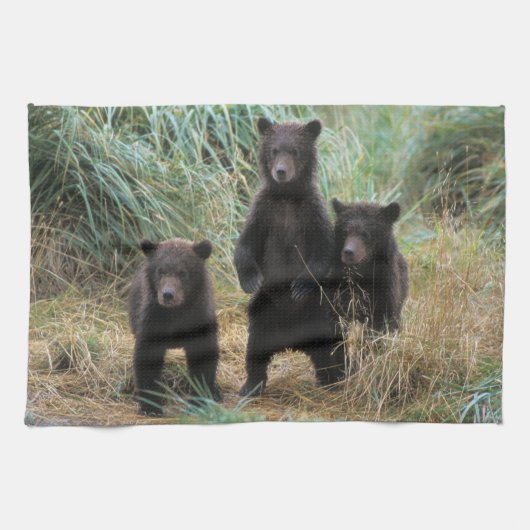 Linge De Cuisine ours brun, Ursus arctos, grizzli, Ursus 7 2 (Horizontal)