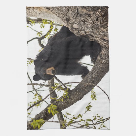 Linge De Cuisine Ours noir Escalade (Vertical)