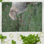 Linge De Cuisine Ovis (Plié)