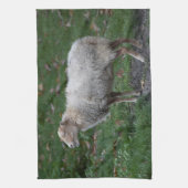 Linge De Cuisine Ovis (Vertical)