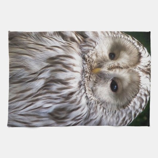 LINGE DE CUISINE OWLS (Horizontal)