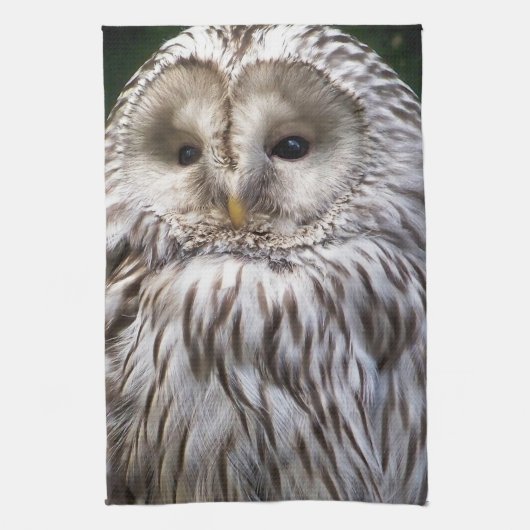 LINGE DE CUISINE OWLS (Vertical)