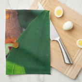 Linge De Cuisine Paire de l'oeil rouge, Agalychinis callidryas, (Quart Plié)