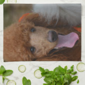 Linge De Cuisine Paires de caniches (Plié)