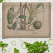 Linge De Cuisine Palm Antique Fruit Tropical Art Botanique (Plié)