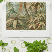 Linge De Cuisine Palm Tree Ernst Haeckel (Plié)