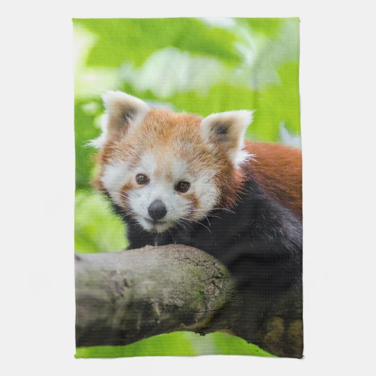 Linge De Cuisine Panda rouge (Vertical)