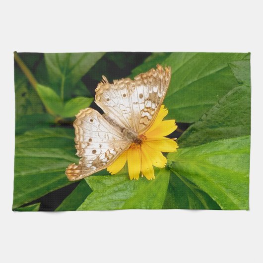 Linge De Cuisine papillon blanc jaune moth (Horizontal)