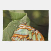 Linge De Cuisine Papillon malachite perché sur une feuille (Horizontal)