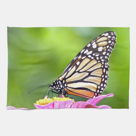Linge De Cuisine Papillon monarque (Horizontal)