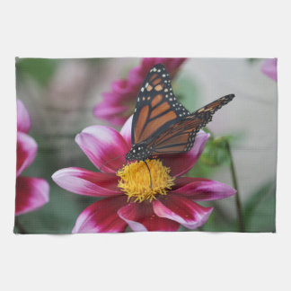 Linge De Cuisine Papillon monarque sur Dahlia rose chaud photo