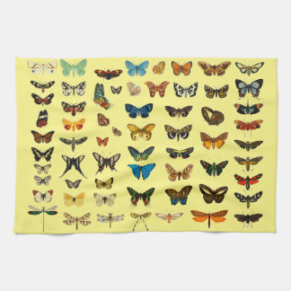 Linge De Cuisine Papillon papillon vintage Ancien art d'illustratio