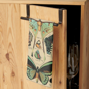 Linge De Cuisine Papillon papillon vintage Ancien art d'illustratio