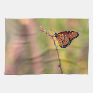Linge De Cuisine Papillon reine se prélassant à la lumière