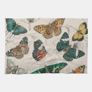 Linge De Cuisine Papillons Collection Antique Papillons