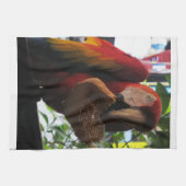 Linge De Cuisine Parrot Macaw Scarlet Manger Toast (Horizontal)