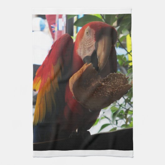 Linge De Cuisine Parrot Macaw Scarlet Manger Toast (Vertical)