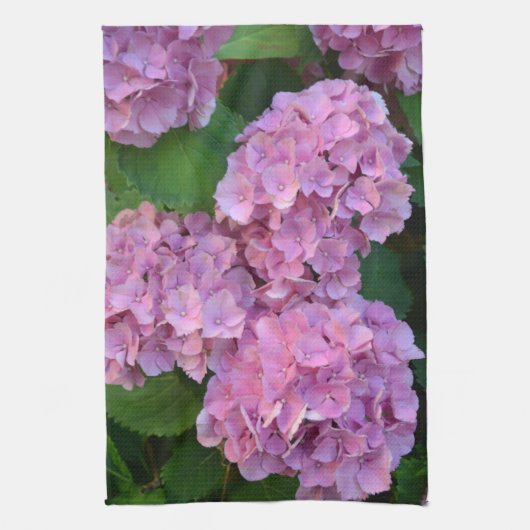 Linge De Cuisine Pastel rose Hortensia hydrangea fleurs (Vertical)