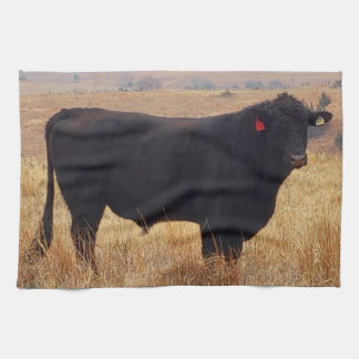 Linge De Cuisine Pâturage de Steer Black Angus avec son troupeau